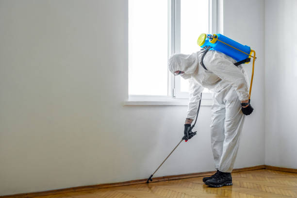 Best Rat Extermination Near Me  in Carver, MN