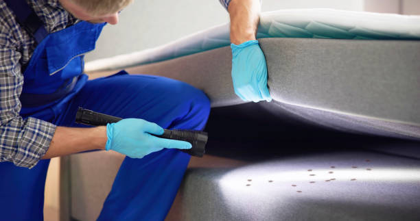 Best Wasp Removal Services  in Carver, MN