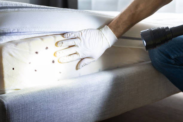 Best Pest Removal Services  in Carver, MN