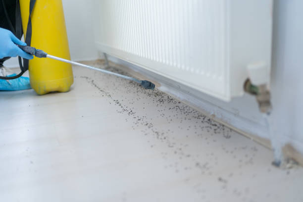Best Commercial Pest Control Services  in Carver, MN