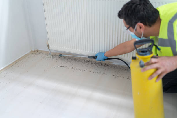Trusted Carver, MN Pest Control Experts
